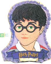 Picture of Harry Potter Cake